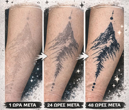 Temporary Tattoo Gzs-083