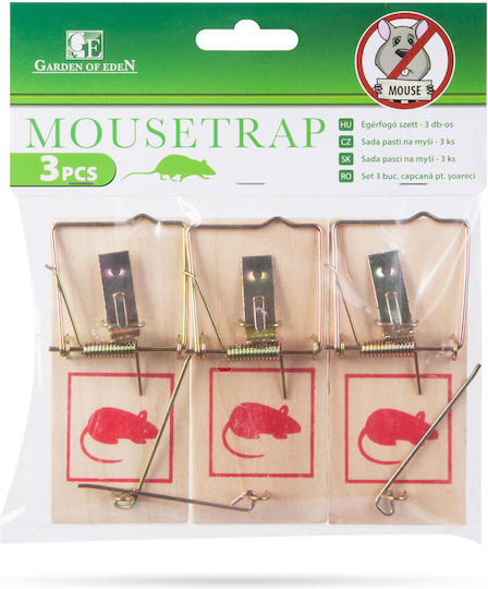 Alista Home από Μέταλλο 10x4.5cm GLB_55648B 3τμχ