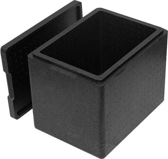 Termobox Capac Termic Container Comercial Pentru Alimente 20lt 39.5x29.5x32cm
