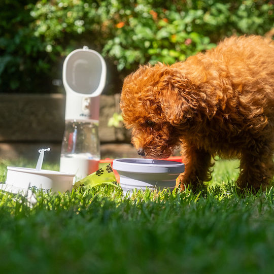 Petigio Futter-Schale für Hund Silikon