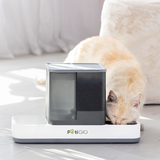 Petigio Futternäpfe & Wasserschalen für Hunde & Katzen