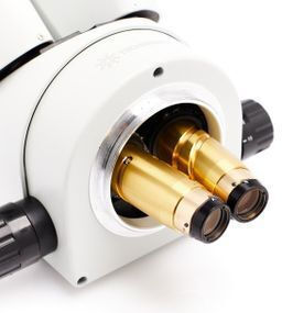 Microscope Stereo Microscope Educational Trinocular