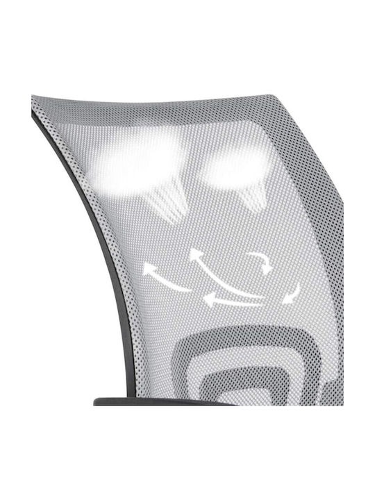 Miroplasa Miroplasa