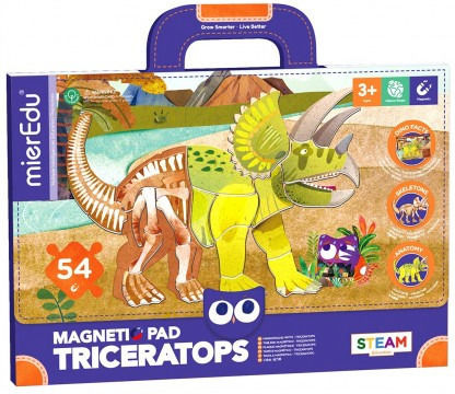 Mieredu Magnetic Construction Toy