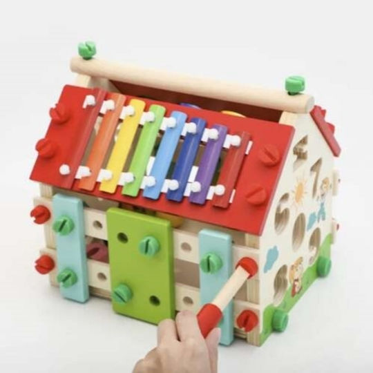 Jokomisiada Baby Aktivitätsspielzeug aus Hölzern