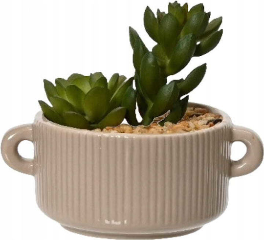Cactus In A Decorative Pot Artificial Plant 13x13 Cm