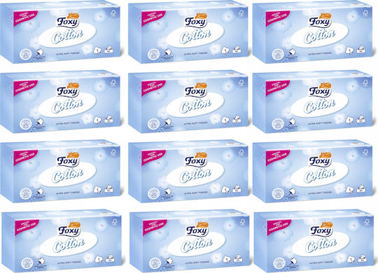 Foxy 12 Boxes Tissues (90pcs/Box)