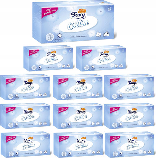Foxy 12 Boxes Tissues (90pcs/Box)