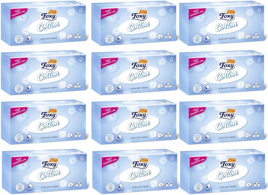 Foxy 12 Boxes Tissues (90pcs/Box)