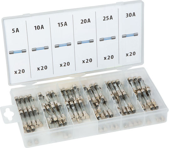 Set Siguranțe Sticlă 6×32 Mm 5–30a În Cutie Organizatoare 120 Bucăți