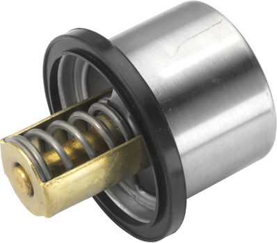 Termostat Lichid De Răcire Wahler 4619.82