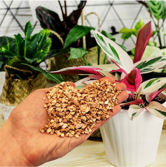 Natural Horticultural Vermiculite 1-5mm 5l
