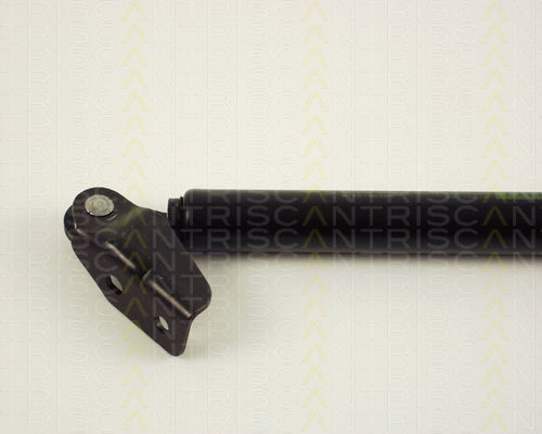 Triscan 8710 50225 Trunk Shock Absorber