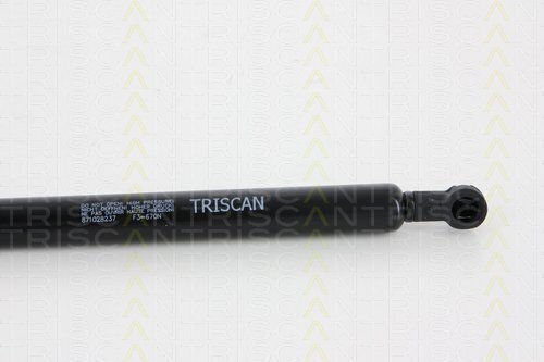 Triscan 8710 28237 Trunk Shock Absorber
