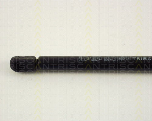 Triscan 8710 65201 Trunk Shock Absorber