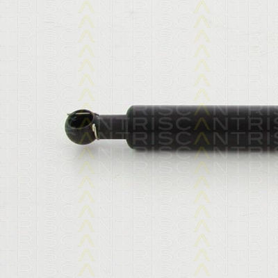Triscan 8710 40229 Trunk Shock Absorber