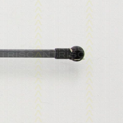 Triscan 8710 40229 Trunk Shock Absorber