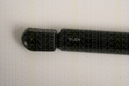 Triscan 8710 16254 Trunk Shock Absorber