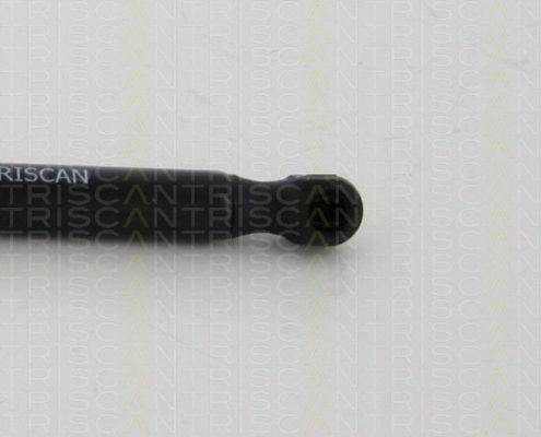 Triscan 8710 80214 Trunk Shock Absorber