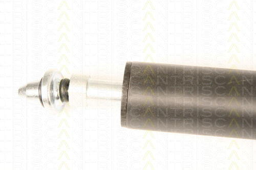 Triscan 8710 38228 Trunk Shock Absorber