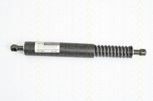 Triscan 8710 29264 Trunk Shock Absorber