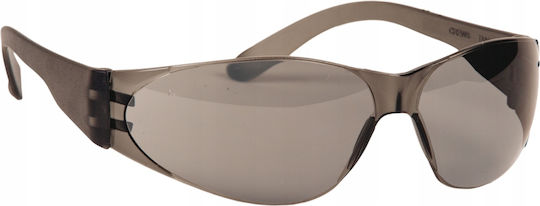 Protective Glasses Steel Gray Mcr-checklite-ss