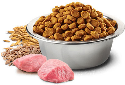 Farmina Ancestral 10kg Dry Dog Food With Low Grains For Neutered Dogs With Chicken And Pomegranate
