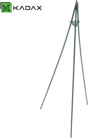 Kadax Top Support Stangen 11 Mm Grüne 10 Stück