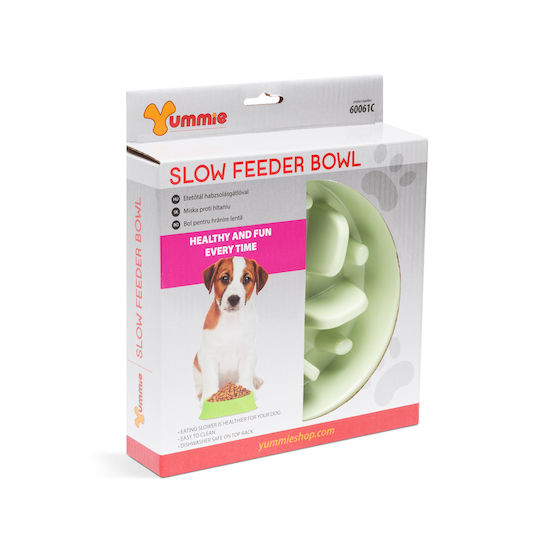 Bol Din Plastic Pentru Hranire Lenta Pentru Câine și Pisică 20cm în Culoare Verde