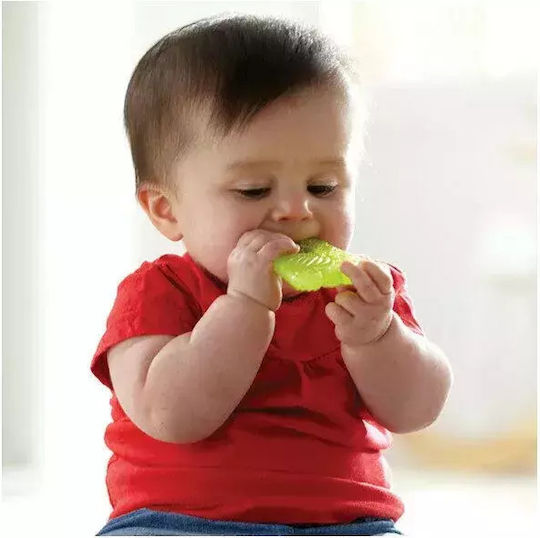 Munchkin Fun Ice Hand Teething Ring with Gel BPA Free Silicone for 0 m+ Green