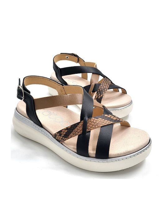 Anatomic Summer Women's Black Platform Sandal