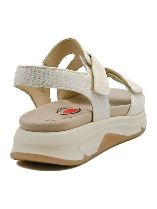 Platforme Dama Anatomice Auriu