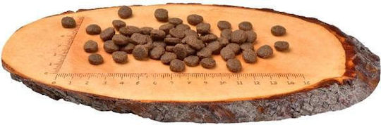 Carnilove Salmon & Turkey Puppy 1.5kg Dry Food Grain-Free for Puppies with Turkey and Salmon