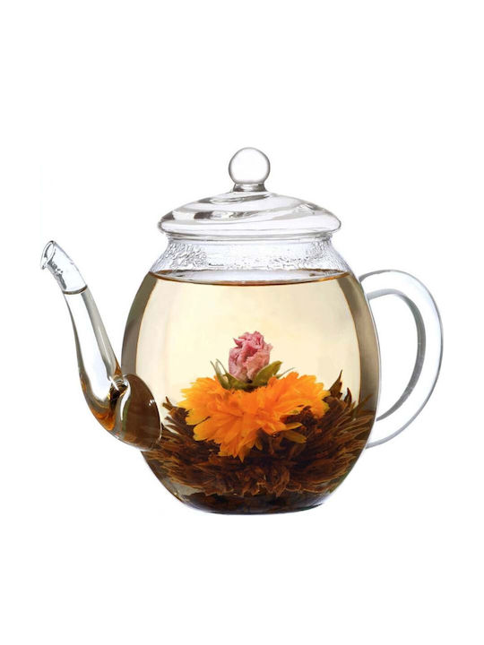 Creano Ceainic cu Cană din Sticlă Transparentă 500ml