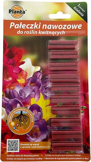 Planta Fertilizer Sticks Flowering Plants 20 Pcs