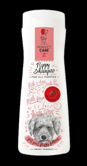 Perfect Care Σαμπουάν 400ml