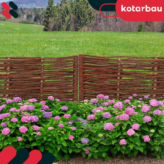 Kotarbau Μπορντούρα Κήπου σε Μπεζ Χρώμα 60x20cm 10τμχ