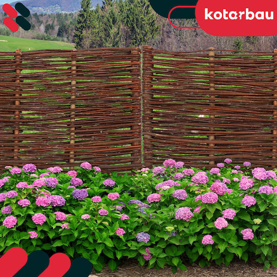 Kotarbau Gartenhecke in Beige Farbe 60x30cm 5 Stück