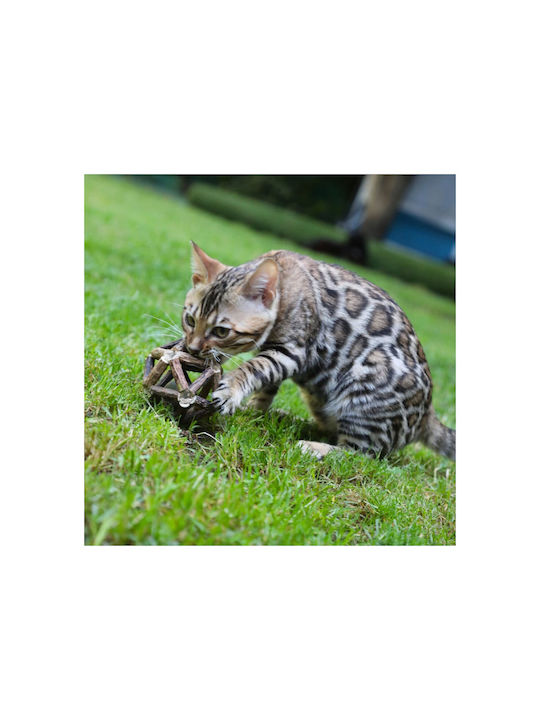 Croci Παιχνίδι Γάτας Μπάλα με Catnip