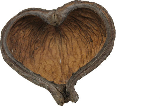 Ceramic Nature Ceramic Nature Thelambu Pods Decorațiune Lemn Acvariu 45276