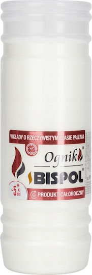 Bispol Wp5n Filled Firelight Insert 18 Pcs
