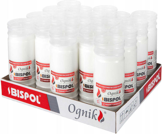 Bispol Wp5n Filled Firelight Insert 18 Pcs