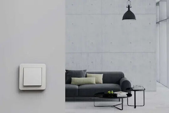 Διακόπτης Gira 329627 Rocker System 55 Reinwhite M
