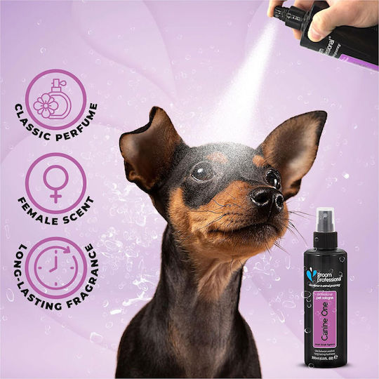 Groom Professional Canine One Spray Κολώνια Σκύλου 200ml