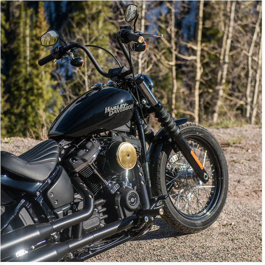 Arlen Ness Motorcycle Grips Harley Davidson '74 '22 Single Dual Throttle Cables Air Trax Grips Brass End Cap