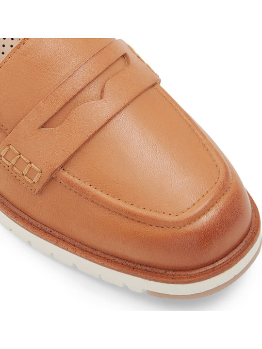 Aldo