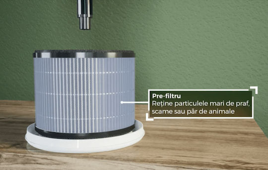 AlecoAir P15 Kiddo P15Kiddo Ionisator / Luftreiniger für Räume 15m²