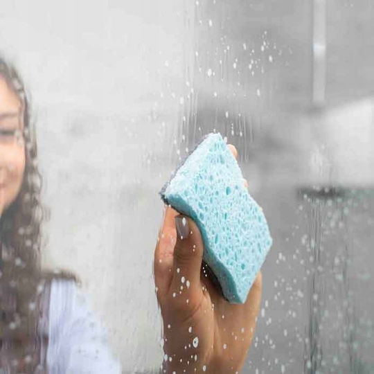 Vileda Clean Set Küchenschwämme 2 Stück