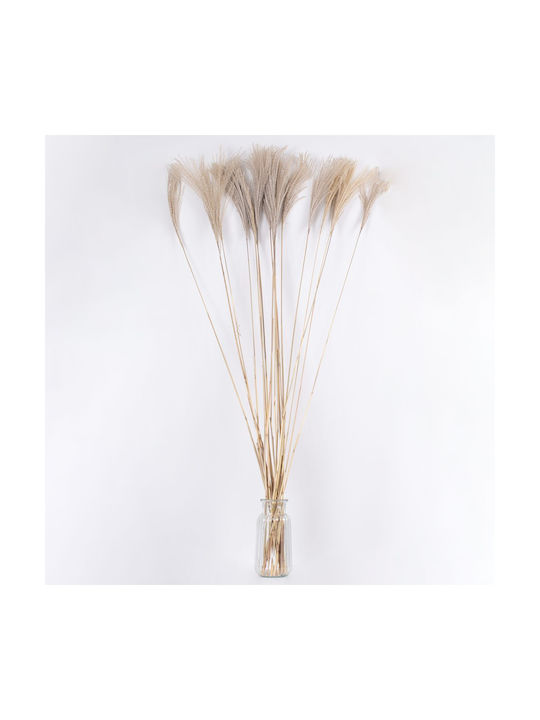 Globostar Miscanthus 36539 Dried Miscanthus Plant Bouquet of Decorative Beige Branches H140cm Set of 10 Pieces