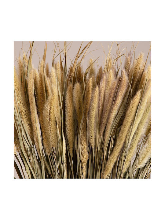 Globostar Pennisetum 36503 Dried Pennisetum Plant Bouquet of Decorative Branches Beige Green Height 60cm Set of 100 Pieces